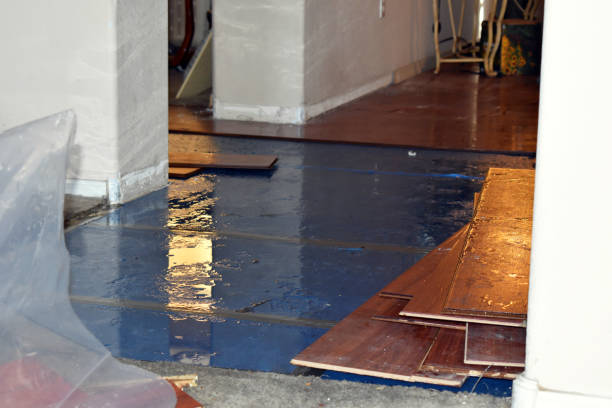 Professional Sewage Cleanup technician working in Sherborn, MA
